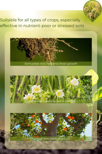 Fertilizante NPK Premium de Vietnam 20-10-5+TE con Tecnología de Liberación Rápida para una Mejor Floración y Fructificación, Mejora las Plantas - Product Image 6