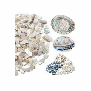 Éclats de coquillages colorés, naturels, légers, vente en gros, parfaits pour la décoration de mariage, les aquariums, les graviers de bateau et l'aménagement paysager - Product Image 5
