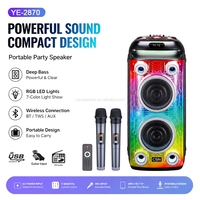 Haut-parleur portable double 8 pouces YE-2870 OEM ODM pour fêtes, modèle le plus vendu en Amérique du Sud, fournisseur d'usine