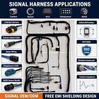 Conector Multipin, Arnés de Cableado Automotriz, Conjunto de Cables Personalizado para Panel de Puerta