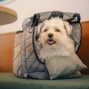 फैशन हॉट सेलिंग पालतू जानवर यात्रा टोटे बैग पोर्टेबल पेट बैग हैंडबैग छोटे पालतू जानवर लुभावनी कुत्ते बिल्ली वाहक बैग - Product Image 4