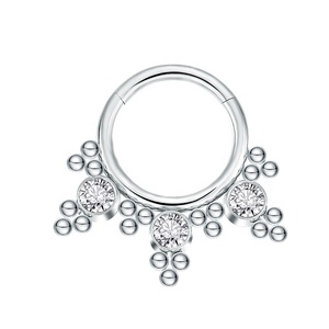 G23 Titan Segment Klapp <span class=keywords><strong>ring</strong></span> Clicker Nasenring schöne Frauen Titan Clicker <span class=keywords><strong>Ring</strong></span> - Product Image 2