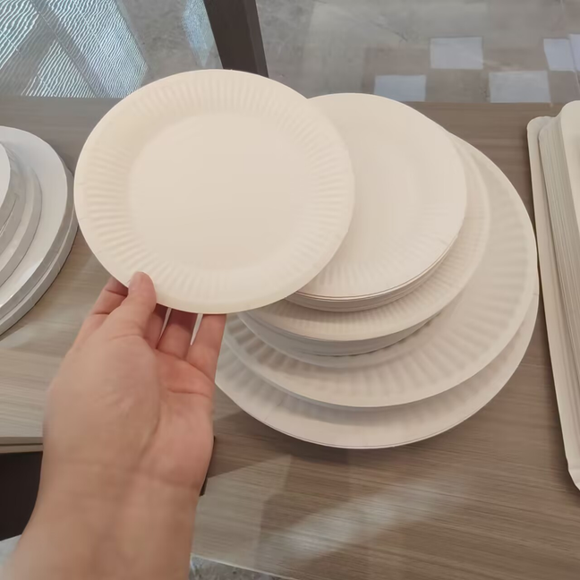 Food Grade Paper Bowl Biodegradable Disposable Paper Tray Wholesale Paper Plate
