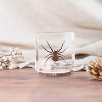 Insectes et animaux réels, design microscène, 38*38mm, araignée-loup, bloc de résine, petite maison, décoration de chambre, décoration de la maison, articles de décoration de table
