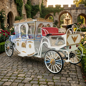 Nuevo Anuncio: Elegante Carruaje Eléctrico Royal Horse con Capacidad para 4-6 Personas, 4 Ruedas, Color Personalizado, sin Caballos, en Venta - Product Image 6