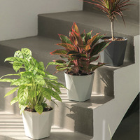 Pot de fleur décoratif d'intérieur automatique paresseux auto-arrosant le planteur en plastique pour le jardin