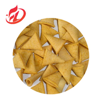 Machine extrudeuse automatique en acier inoxydable pour la production alimentaire de corn chips, de boulettes et de bonbons frits