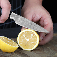 Couteau de cuisine en acier inoxydable de haute qualité, motif Damas laser, avec manche riveté exquis, couteau durable pour couper les os