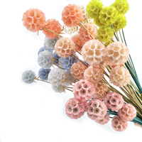 Estampa de verão de fábrica chinesa flor seca preservada buquê de frutas secas flores para materiais diy