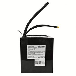 Paquete de batería de litio AMORGE 60V 32AH 200AMP con ANT Bluetooth BMS - Product Image 1