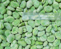 Haricots verts surgelés IQF, pelés et non pelés, entiers, qualité supérieure, style soja, en vrac 10kg