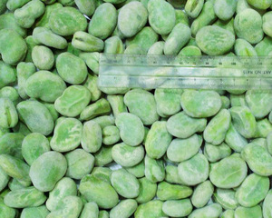 Fave Congelate IQF, Pelate e Non Pelate, Intere, Stile Fagiolo di Soia Verde, Grado Premium A, Confezione da 10kg - Product Image 2
