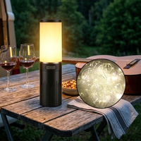 Lampu Tali Camping Isi Ulang dengan Kabel Retraktil 10m dan Lampu USB C untuk Makan di Teras dan Pesta Luar Ruangan