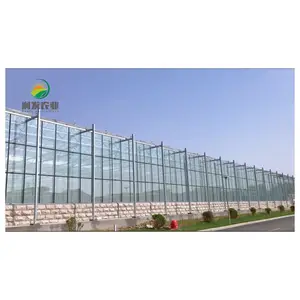Projeto de espinha agrícola completo de vidro com construção rápida