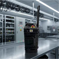 Nettoyeur laser à fibre pulsée portable 100W, refroidi par air, machine de nettoyage laser manuelle de précision pour le décapage de la rouille sur le bois et la pierre