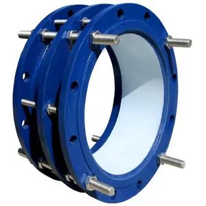 Joint Double Flange Pipe Expansion Joint Dismantling Limited Joint Compensator