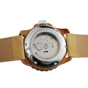 300M étanche montre personnalisée affichage de la Date cadran lumineux montre pour hommes boîtier en Bronze NH35 mouvement mécanique montre <span class=keywords><strong>Steeldive</strong></span> - Product Image 2