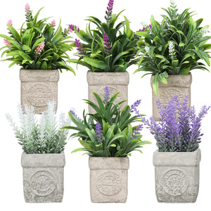 Mini tallo suculento Artificial DIY, rosa blanca y planta de imitación de plástico <span class=keywords><strong>Echeveria</strong></span> para decoración del hogar para Navidad, Día DE LA Madre - Product Image 5