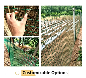 Grillage soudé plastifié PVC pour l'aquaculture, clôture en treillis rigide pour enclos à poulets - Product Image 6