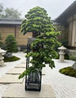 Arbre artificiel géant en cèdre japonais, pin vert, bonsaï artificiel sur mesure pour la décoration intérieure