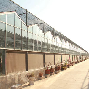 Invernadero Agrícola Hidropónico Económico de Gran Tamaño y Múltiples Vãneas, Personalizado para Cultivo de Tomate, Fresa y Pepino, Sistema Completo de Cultivo en Vidrio - Product Image 5