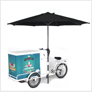 Chariot <span class=keywords><strong>de</strong></span> vente ambulante <span class=keywords><strong>à</strong></span> glace et <span class=keywords><strong>à</strong></span> en-cas mobile en <span class=keywords><strong>sac</strong></span>, tricycle <span class=keywords><strong>à</strong></span> pousser <span class=keywords><strong>à</strong></span> la main, vélo <span class=keywords><strong>à</strong></span> vendre - Product Image 6