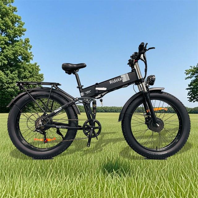 Custom LOGO Ridstar E Bike Oem Manufacturer China Fat Tire Folding Electric Bike Dual Motor And Lithium Batteries Bicycle Adults