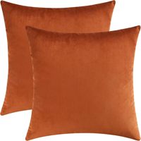 Housse de coussin en velours double face de haute qualité pour l'automne, housse de coussin décorative, housse de coussin orange rouille