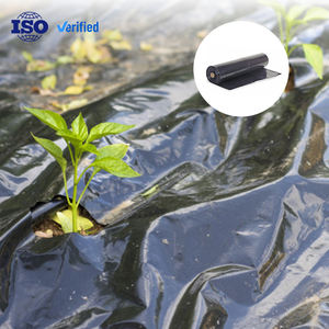 Tettoia in Plastica Nera PE per Uso Agricolo, Anti-Goccia e Anti-Nebbia, Prodotto Agricolo Durevole - Product Image 1