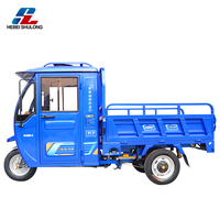 Nouveau tricycle cargo motorisé à 3 roues Type de carrosserie fermée à essence