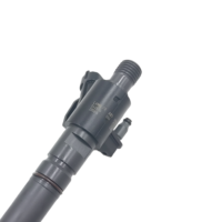 Injecteur de carburant Diesel à rampe commune 0445116012 / 0445116013 pour Land Rover 3.0d Tdv6 Citroen C5c6 Peugeot 407 Code moteur Fort