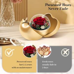 Tyvouflo Preserved Roses Forever Flowers Heart Necklace <b>Gift</b> <b>Set</b> For Mother's Day Birthday Mom Wife Girlfriend Grandma - Product Image 4