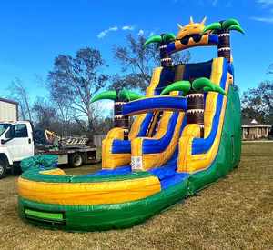 جديد تصميم التجاري العملاق نفخ المياه الشريحة قلعة نطاط ترتد منزل زلاقة مياه - Product Image 4