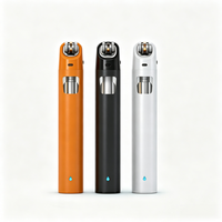 Briquet Électrique Rechargeable Coupe-Vent Mince Portable avec Logo Personnalisé Mini Briquet Jetable pour Fumeurs