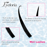 Extensions de cils pré-faits en éventail, type Manga Wispy Cosplay, avec pointes, volume, 0.05 0.07mm, effet mouillé, fournitures pour cils