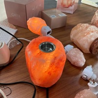 Lampe de sel de l'Himalaya naturelle, diffuseur d'aromathérapie, lumière de nuit apaisante aux huiles essentielles pour chambre à coucher, aide au sommeil, décoration d'ambiance pour la maison