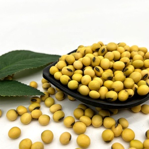Vente en gros d'usine de soja jaune NO-GMO de haute qualité en vrac New Corp de Chine - Product Image 3
