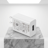 Pengisi Daya USB 5V1A Cocok untuk Speaker, Lampu Meja Kecil, Pelembap Udara, Diffuser Aroma, Pembersih Udara Mini, Perangkat Kecantikan