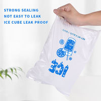 Sacs à glace réutilisables de qualité alimentaire RAYBO 1 kg, sacs de stockage de glace en plastique à fermeture éclair étanche pour usage commercial