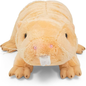 C011 Juguete <span class=keywords><strong>de</strong></span> Peluche <span class=keywords><strong>de</strong></span> Rata Oruga, Animal <span class=keywords><strong>de</strong></span> Peluche, Venta al por Mayor, ODM, OEM, Estándar CPC CE, Oruga Personalizada, Material Premium, Abrazos para Niñas - Product Image 3