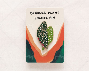 Monstera Albo Thai Constellation Monstera ใบโลหะ Monstera Begonia Alocasia - Product Image 6