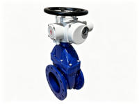 Vanne à opercule électrique à bride PN16 DN50-DN350 en fonte ductile à joint souple pour le contrôle de l'eau avec actionneur