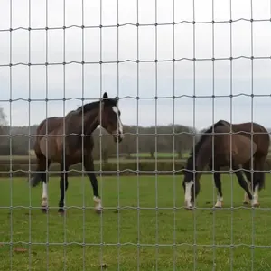 Cavalo Esgrima 10-90-5 de alta resistência 2.5mm fio Horse Mesh campo cerca