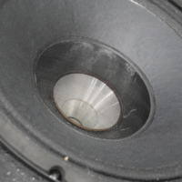 Altavoces de Monitorización Activos Profesionales DSP de 15 Pulgadas con Caja de Madera Accuracy Pro Audio AM15D3
