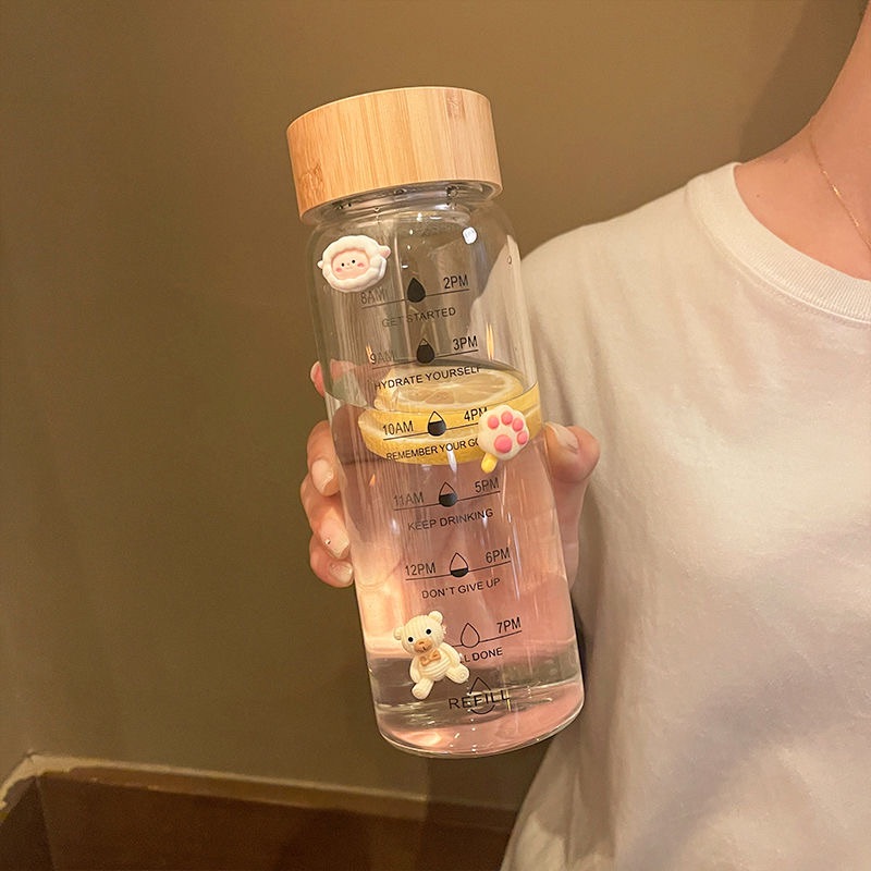 20oz support customization Bamboo lid single layer glass water bottle With Tea Infuser