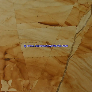 Baldosas de Mármol de Madera de Teca Pulida, Baldosas de Suelo de Mármol de Teca de Birmania en Tamaños de 400 x 400 mm y 650 x 650 mm - Product Image 1