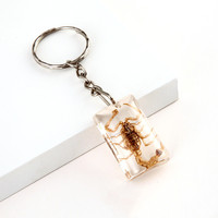 Porte-clés en ambre avec spécimen d'insecte véritable, scorpion, araignée cornée, scarabée, en résine, cadeau souvenir