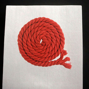 เชือกฝ้ายบิดเกลียว8มม. เชือกมาคราเม่แบบทำมือรีไซเคิลสำหรับกระเป๋าเสื้อผ้าสิ่งทอในบ้าน - Product Image 6