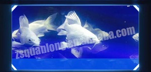 クアンロンT8水中WRGB LEDライト水中魚タンクランプアロワナ水族館日焼けライト水族館 & アクセサリー - Product Image 6