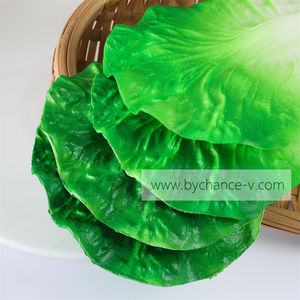 Échantillons <span class=keywords><strong>de</strong></span> feuilles <span class=keywords><strong>de</strong></span> laitue artificielles réalistes et durables pour les expositions <span class=keywords><strong>de</strong></span> musées, <span class=keywords><strong>la</strong></span> science, l'agriculture, <span class=keywords><strong>la</strong></span> botanique et les présentations en laboratoire pédagogique - Product Image 3